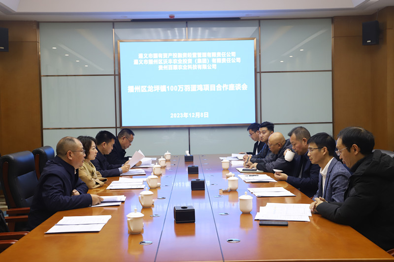 播州區蛋雞養殖項目達成初步合作意向